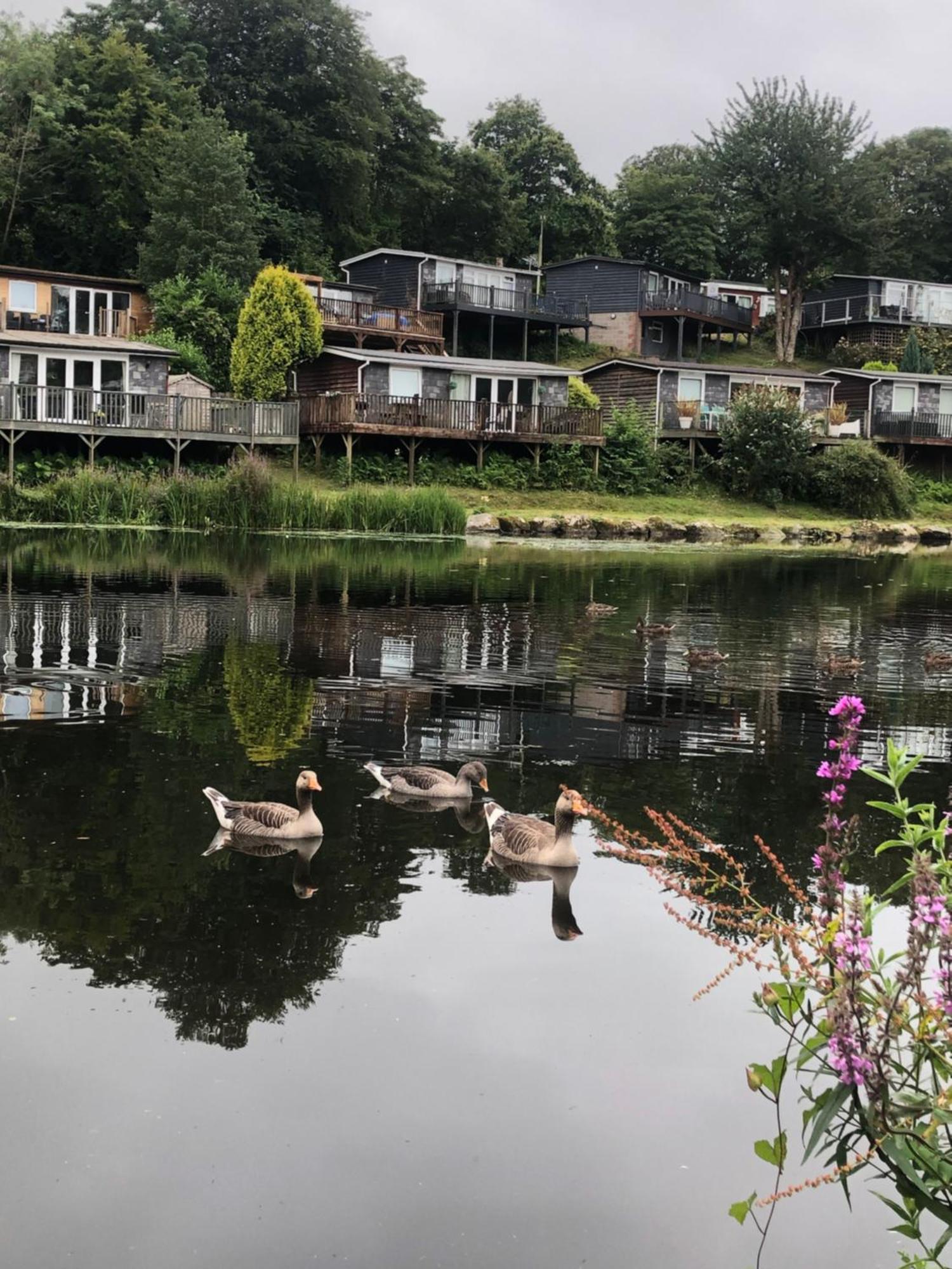 Chalet 64, Lakeside, Glan Gwna Holiday Park Caernarfon Eksteriør billede